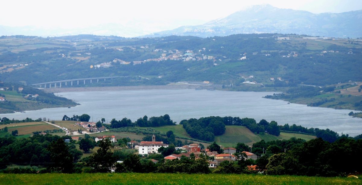 I Morconesi Forestieri 